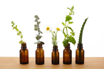Brown Bottles of essential oil with fresh herbs
