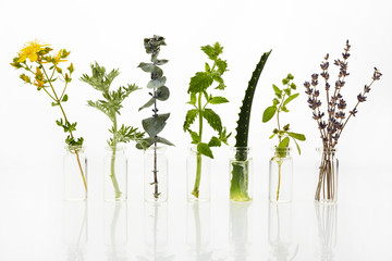 Bottle of essential oil with herbs on white background