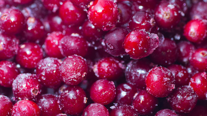 lots of fresh frozen cranberries pile on the table