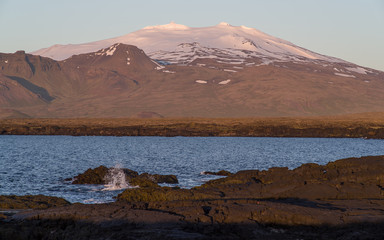 Summer midnight in Iceland - snow covered top of Snaefellsjokull mountain lit purple by very low sun. Seen across a bay with waves crashing on volcanic rocks in foreground 
