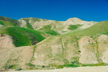 Beauty in Nature in Tel Aviv