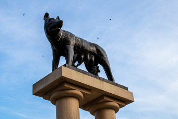 Monument of roman wolf with Romulus and Remus on a square in Constanta
