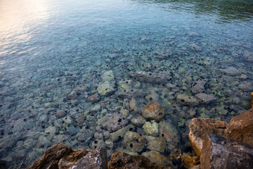Summertime evening crystal clear water with sea urchins on the rocks near the Aponissos beach, Agistri island, Saronic gulf, Greece.