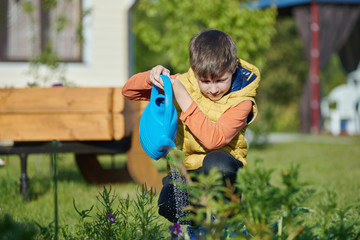 Young gardener is watering the flowers, he is helping his parents.