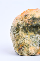 Mold on bread on a white background