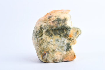 Mold on bread on a white background