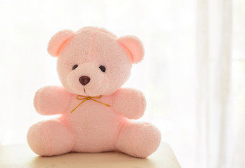 Pink teddy bear on the carpet background