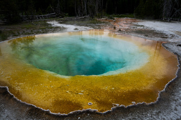 Thermal Pool at Yellowstone National Park