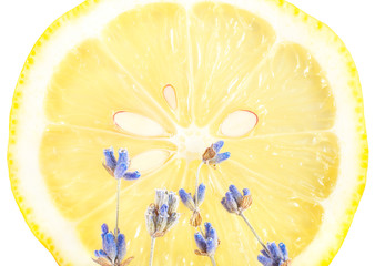 Great yellow lemon with lavender on a white isolated background