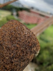 spices in market in india