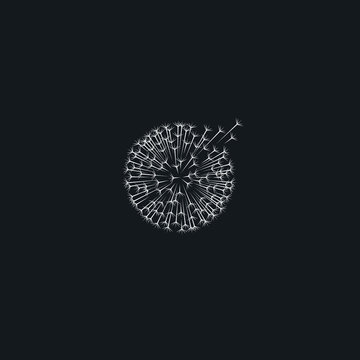 Dandelion, white taraxacum icon. Wind inflates a dandelion. Template for your project. 