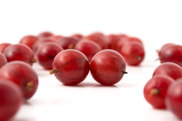 Rote Stachelbeeren