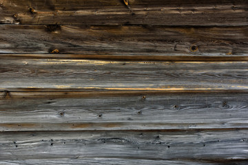 Obraz premium old, grunge wooden wall used as background