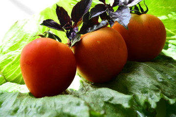Tomatoes with basil