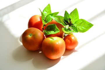 Tomatoes with basil