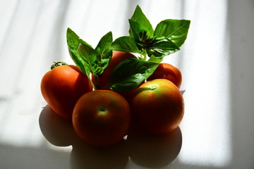 Tomatoes with basil