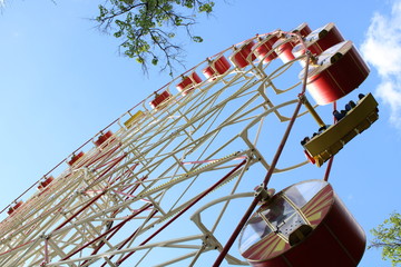 ferris wheel