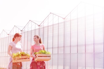 Smiling female botanists carrying plants in wooden crates against greenhouse
