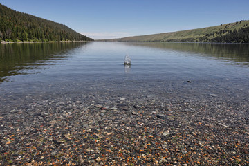 when the fish jump it is time to through your line in