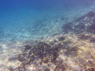 UNDERWATER sea level photo of the Aponissos beach, Agistri island, Saronic Gulf, Attica, Greece.