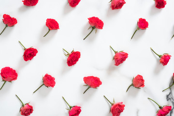 Floral pattern made of red roses flowers on white marble background. Flat lay style floral composition, top view mockup. Valentines Day background.