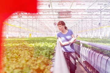 Young female botanist examining herbs while writing on clipboard in plant nursery