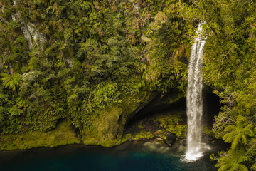 Cascada en medio del bosque