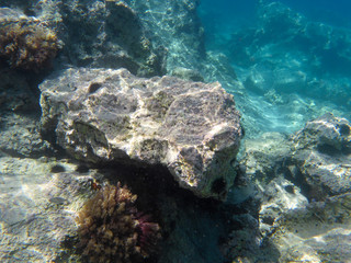 UNDERWATER sea level photo of the Aponissos beach, Agistri island, Saronic Gulf, Attica, Greece.