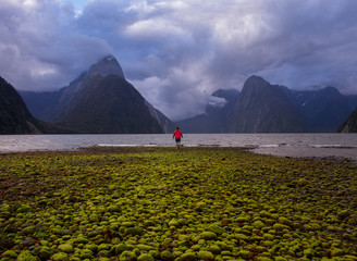 Un hombre con campera naranja caminando por piedras verdes mirando los fiordos, las nubes y el mar