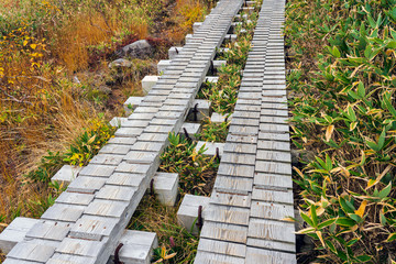 Boardwalk Made From Timber Planks.
