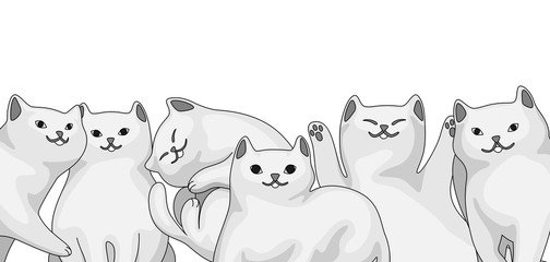 Background with cartoon white cats.