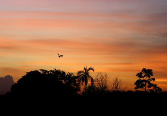 pôr do sol