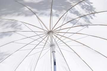  white umbrella with leaf shadow.  translucent fabric umbrella.
