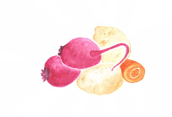 Drawing with watercolors: vegetables - beets, potatoes, carrots