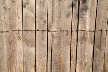 Background of the fence gray boards with knots hammered metal tape barbed  wire. Design backgrounds texture.