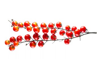Ripe Red Cherry Tomatoes on White Background