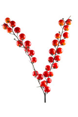 Ripe Red Cherry Tomatoes on White Background