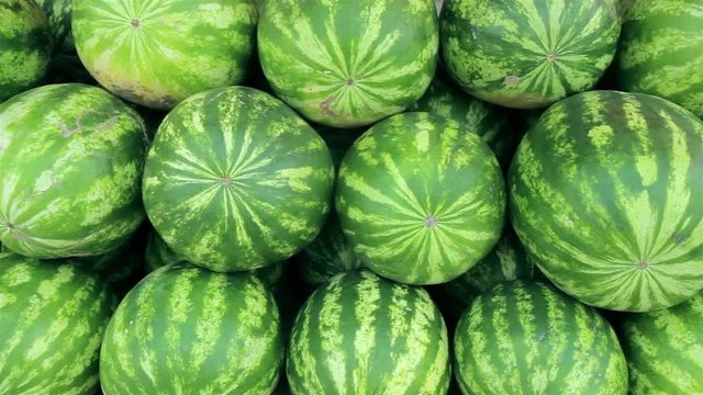 fresh watermelon on the market