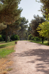 Fototapeta na wymiar path in park