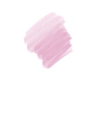 Pink rose watercolor spot background