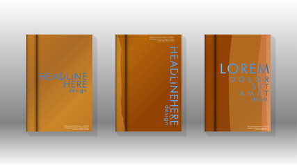 Cover book with a geometric design background.