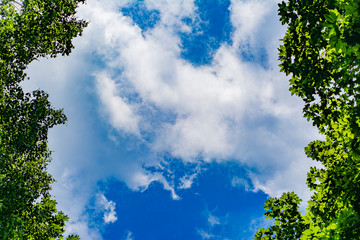 Fototapeta premium Natural frame with leafs and sky with clouds