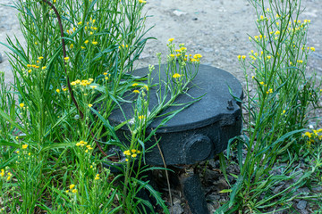 Old metal mechanism on the railroad overgrown with grass and flowers