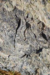 rocks abstract