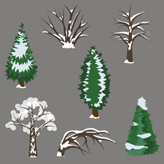 Set of winter trees in snow. isolated elements to design landscape scene