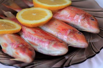 Fresh fish Mullus barbatus in the dish with lemon