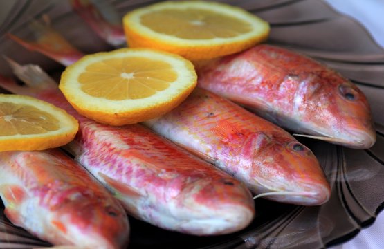 Fresh fish Mullus barbatus in the dish with lemon