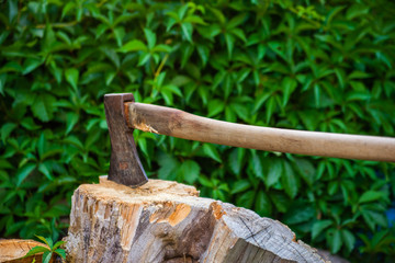 Old axe in stump. Axe pounded in the trunk of tree with green plants in the background. Woodworking tool.
