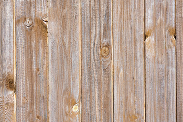 Wooden background pattern nature texture closeup