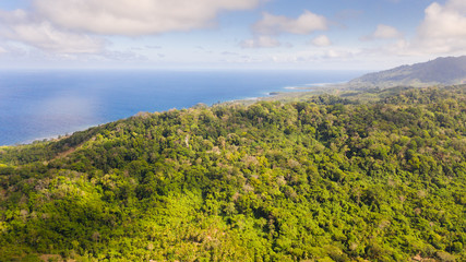 Obraz premium Rainforest on a large island, view from above. Forest massif on the hills of a tropical island. Nature of the Philippine Islands.